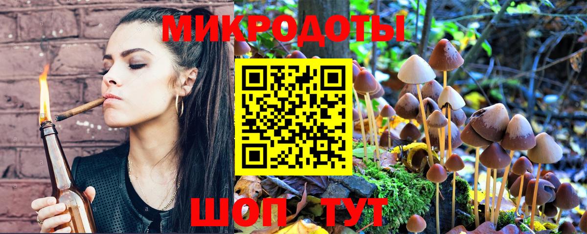Псилоцибиновые грибы GOLDEN TEACHER Армавир