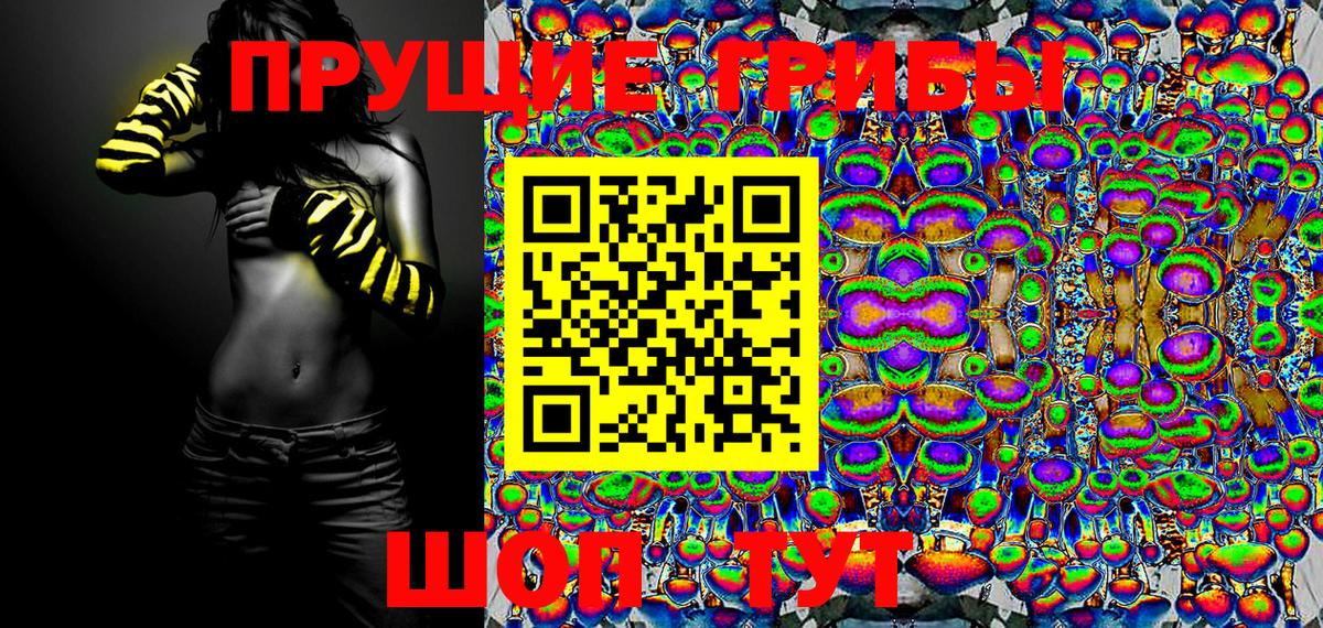 Армавир  Псилоцибиновые грибы Psilocybe  купить закладку  Вход с VPN 